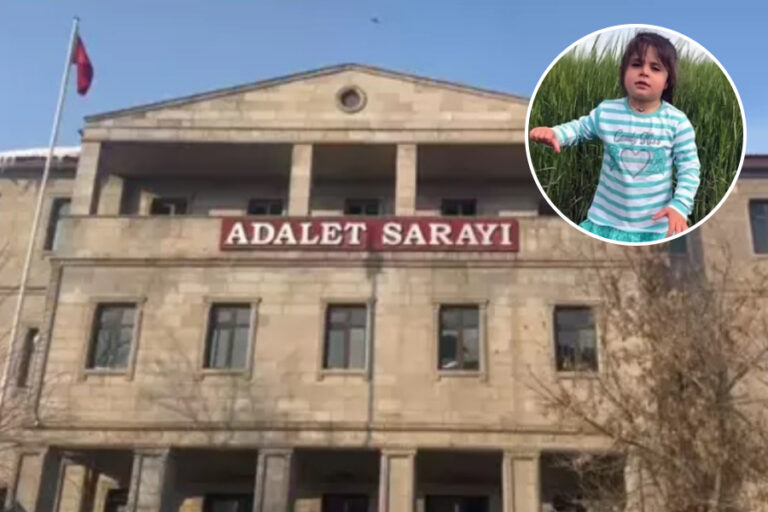 Leyla Aldemir cinayeti: Duruşmalara katılmayan annesi zorla getirilecek