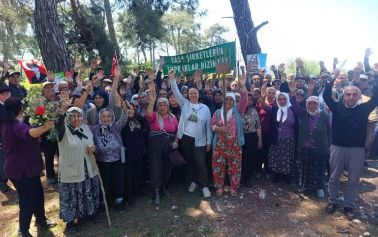 Saray’ın ‘Akbelen’de acele kamulaştırma’ planına yargı freni