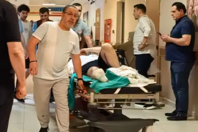bursa-çim-biçme-makinası