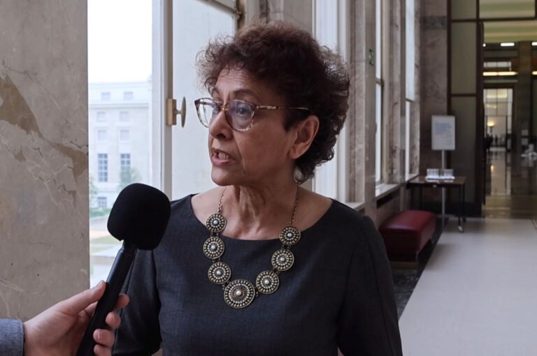 BM Özel Raportörü Khan: “Avrupa ülkeleri sürgündeki Türk gazetecileri korumalı”