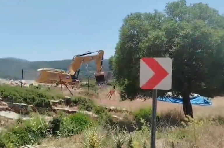 Mahkeme kararı ‘yok’ sayılıyor; Akbelen’de kepçeler yeniden çalıştı