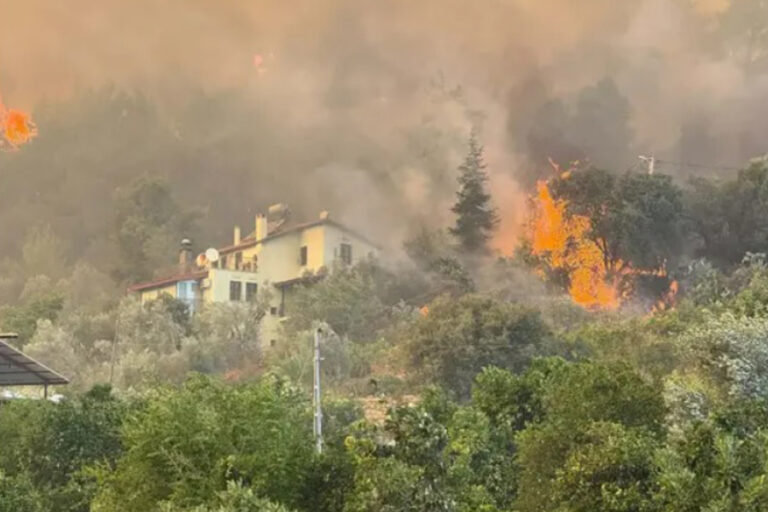 Fethiye’de orman yangını: Bazı evler alevlere teslim oldu