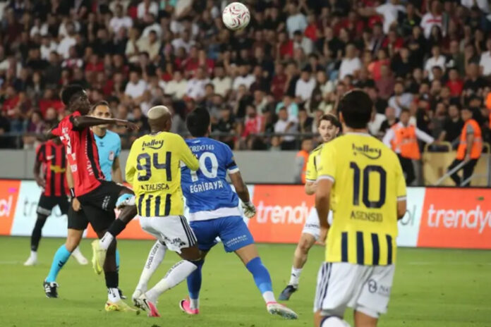 fenerbahçe-gençlerbirliği