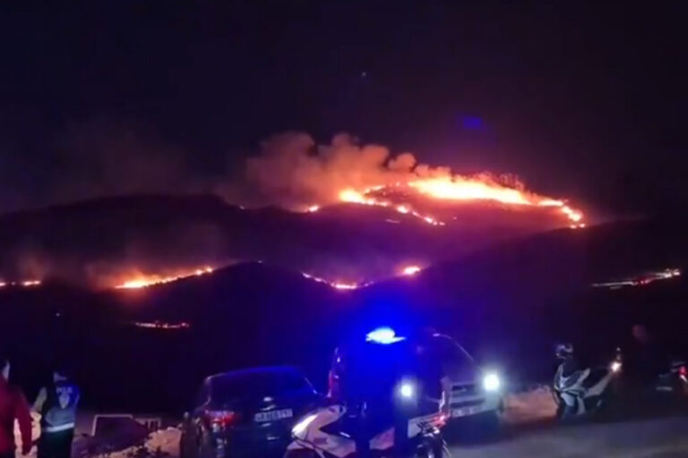 Bodrum ’da makilik alanda yangın paniği: Alevler kısa sürede yayıldı