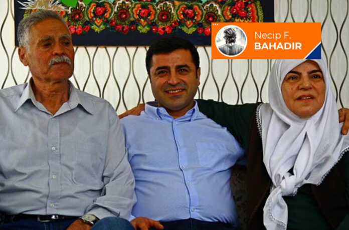 demirtas-anne-2